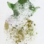 Paint splatter Yoda
